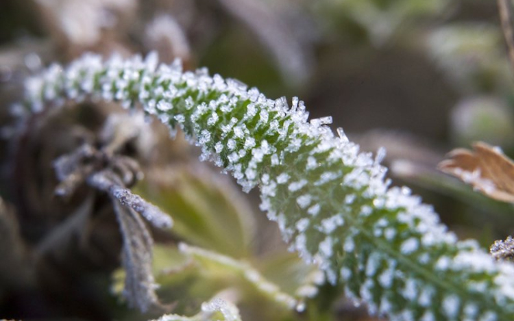 Enyhít szorításán a fagy és többfelé várható csapadék a hétvégén