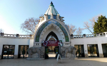 Kína ízeit és a medvék világát mutatják be a Fővárosi Állatkertben a hétvégén